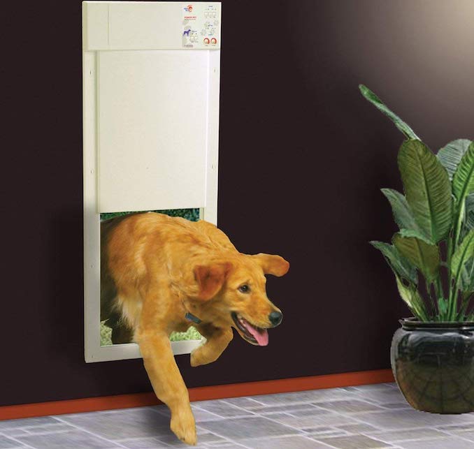 best-automatic-smart-dog-doors