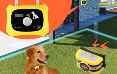 best-wireless-dog-fences-reviews