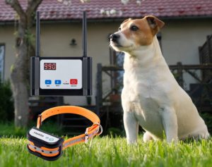 Hokita Dog Fence Wireless