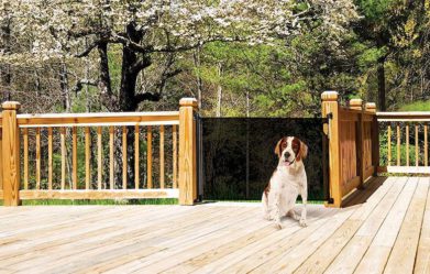 best-retractable-dog-gates