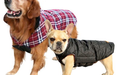 best-waterproof-dog-coats-reviews