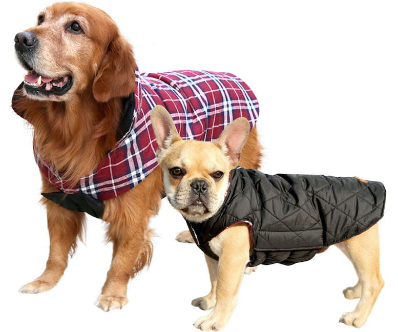 best-waterproof-dog-coats-reviews