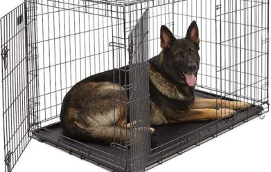 best-xxl-dog-crates