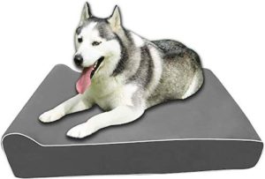 PEP STEPGiant Memory Foam Dog Bed