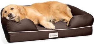 PetFusion Ultimate Dog Bed