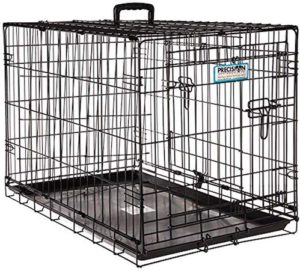 Precision Pet Dog crate