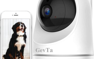 best-dog-monitoring-cameras