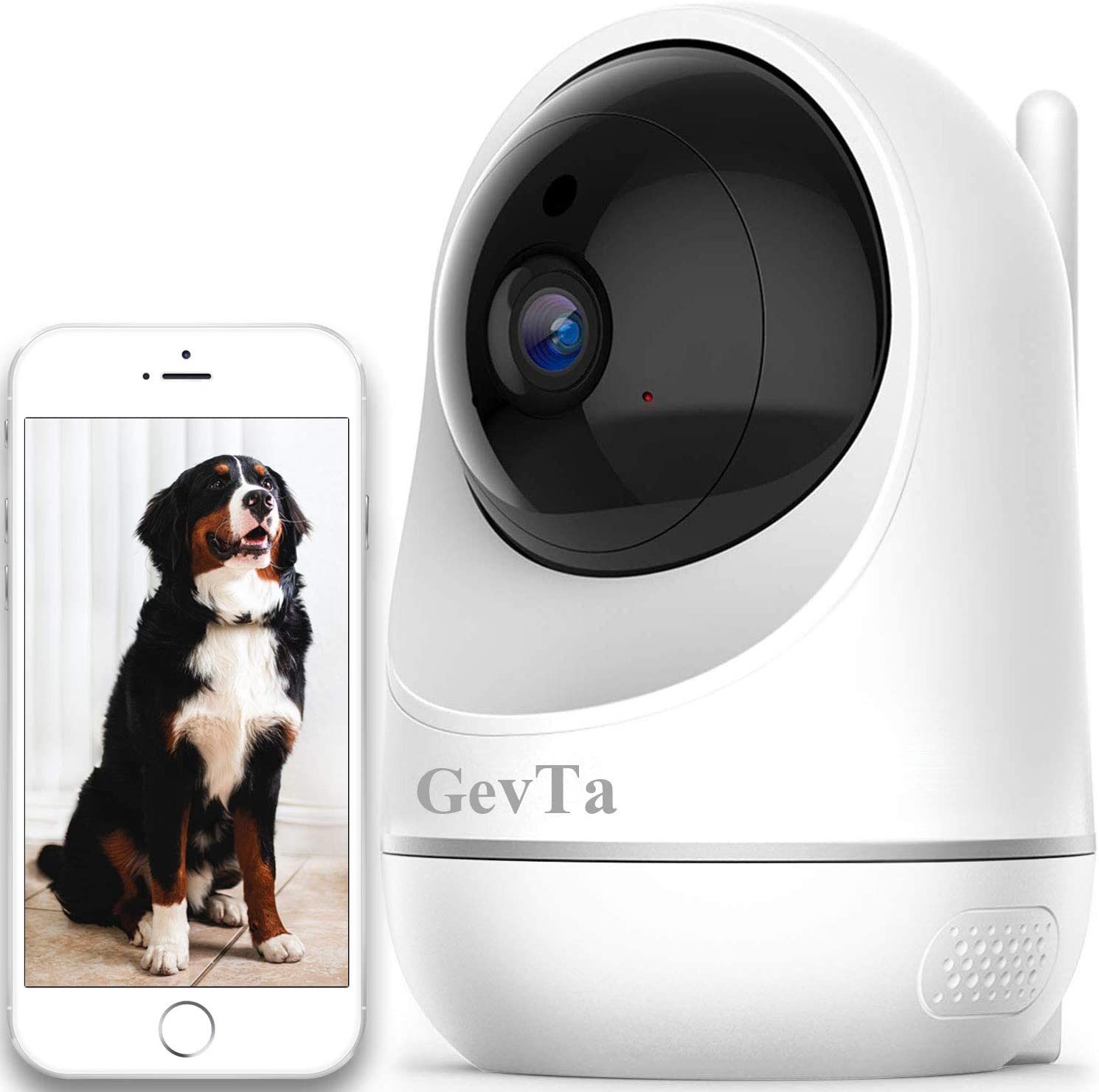 best-dog-monitoring-cameras