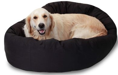 best-comfy-calming-dog-bed