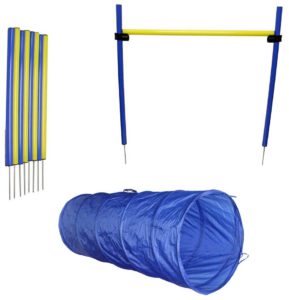 Dog-Agility-Equipment-Set