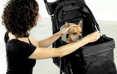 best-strollers-for-dogs