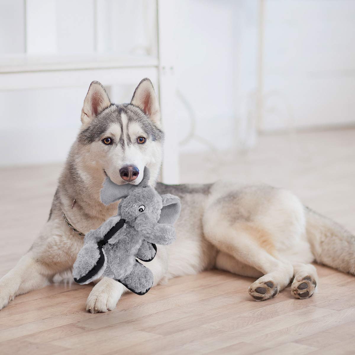 best-puppy-behavioral-aid-toys