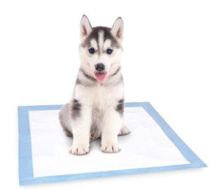 American Kennel Club Pet Training and Puppy Pads