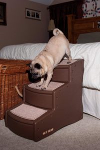 Pet Gear Easy Step III Pet Stairs