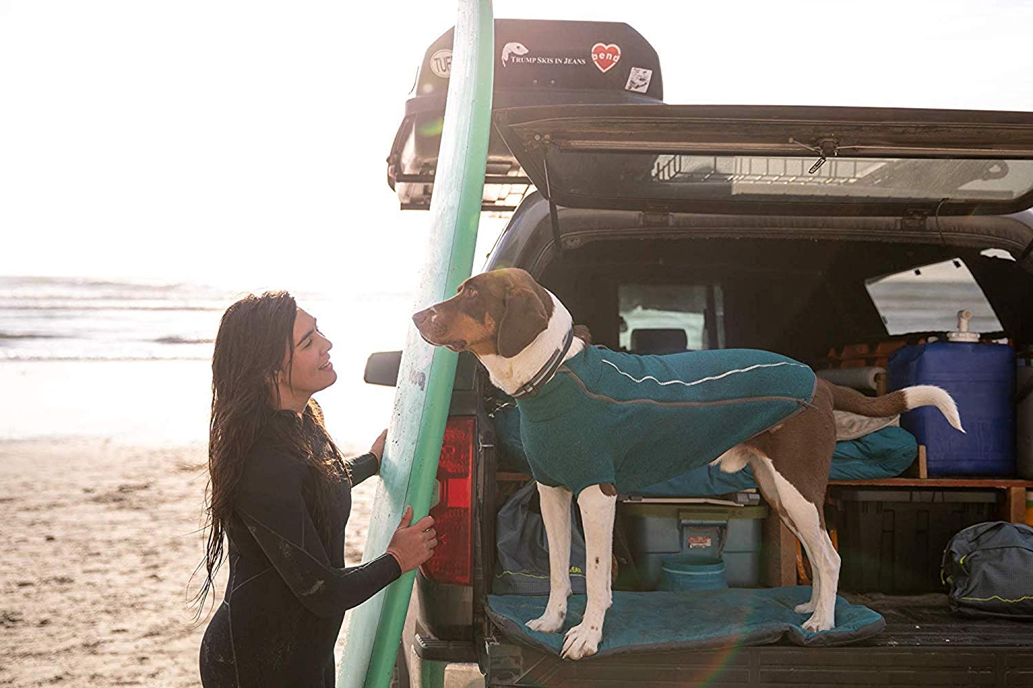 best-winter-dog-sweater