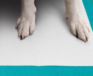 Simple Solution Training Puppy Pad