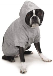 Zack & Zoey Basic Hoodie for Dogs