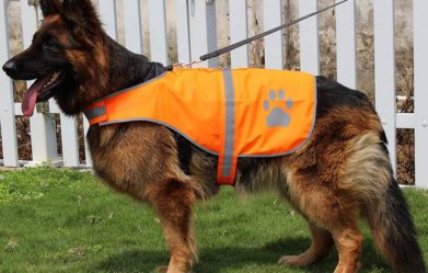 best-dog-hunting-vest