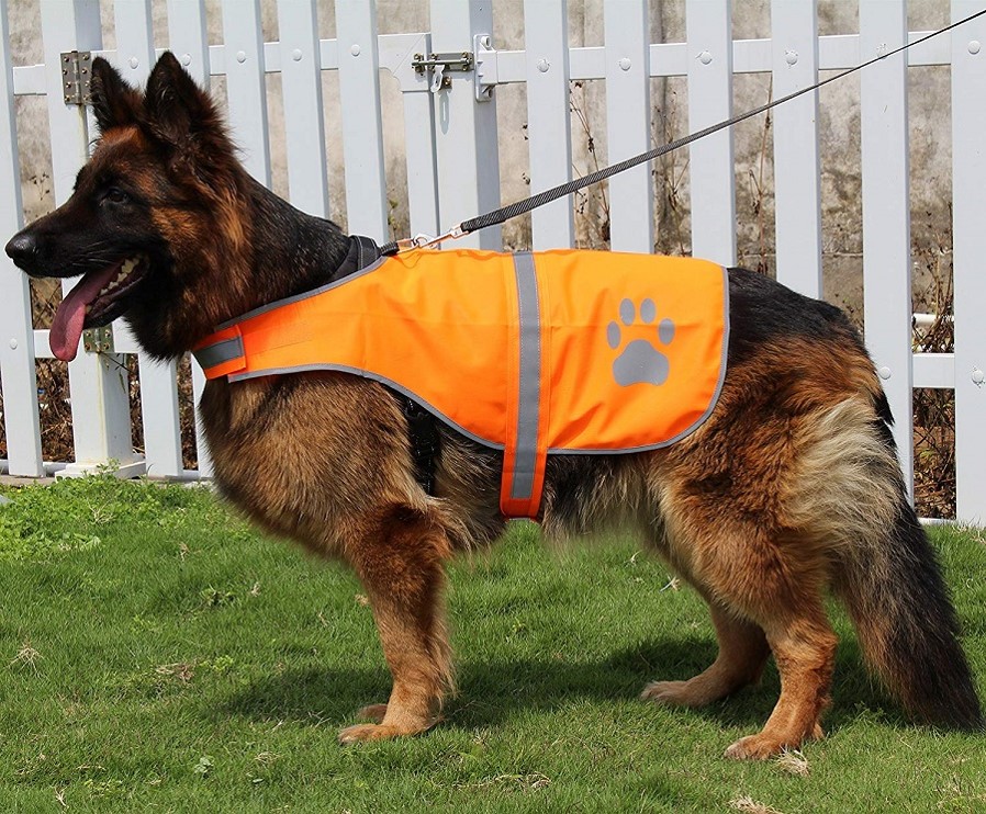 best-dog-hunting-vest