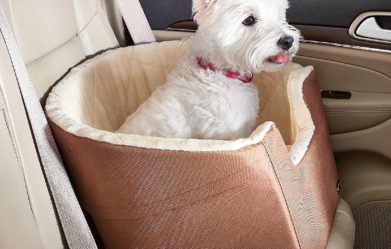 best-dog-booster-car-seats