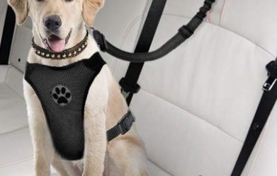 best-dog-car-harnesses