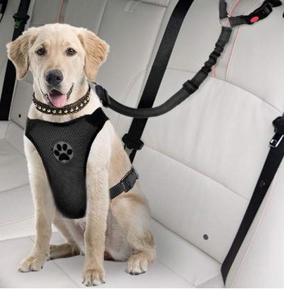 best-dog-car-harnesses