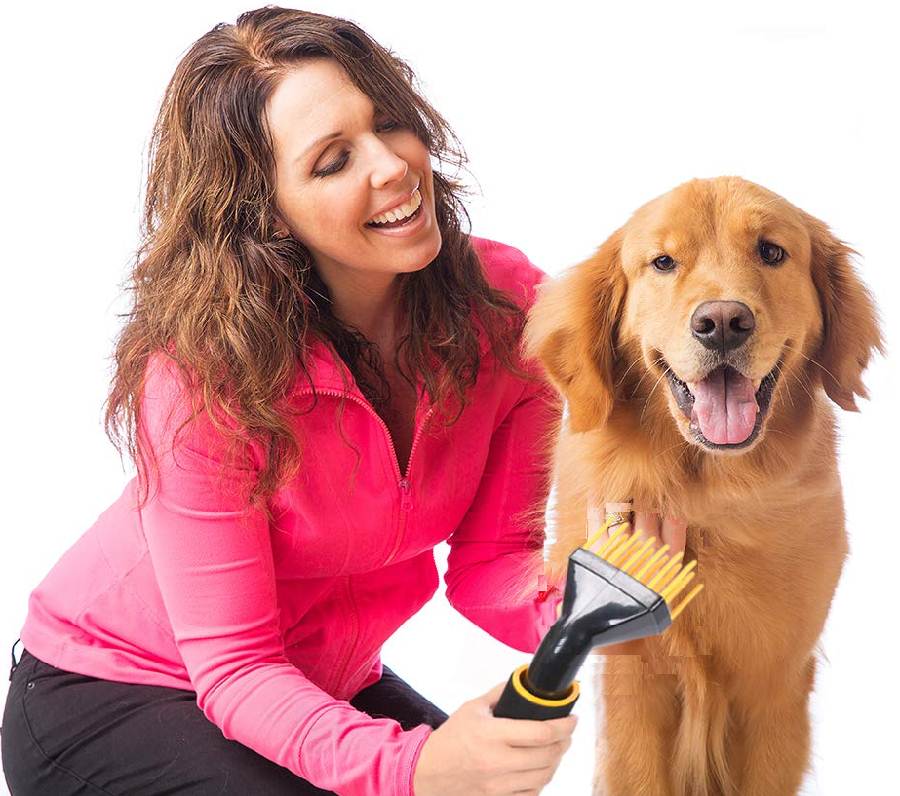 best-dog-hair-dryers