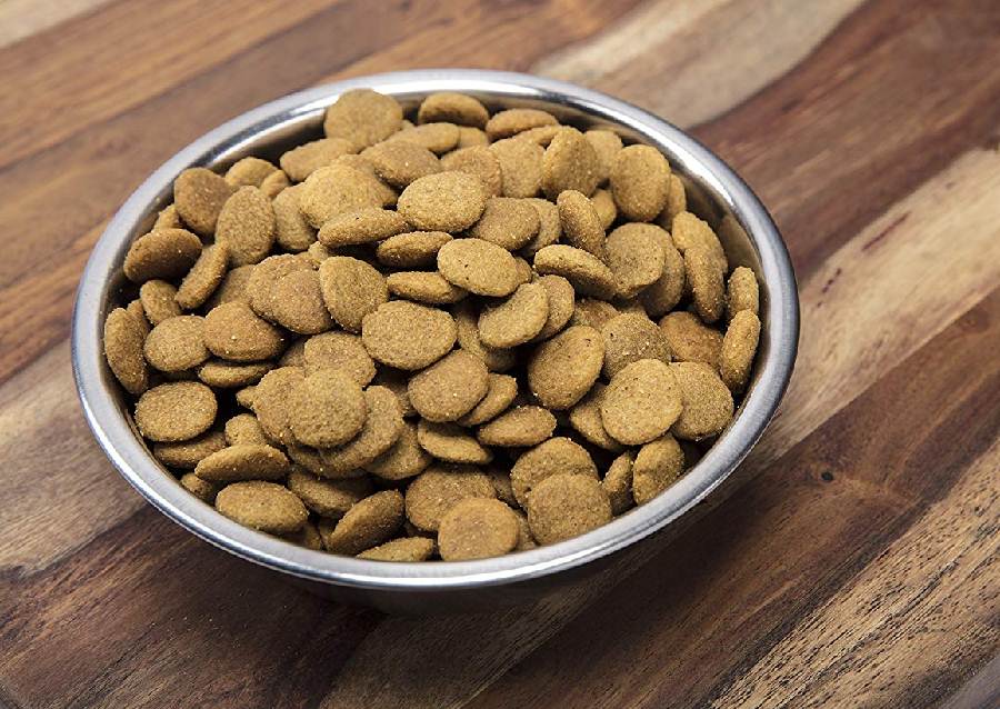 How To Pick A Good Dry Dog Food at Shelley Gandy blog