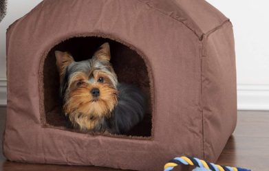 best-indoor-dog-houses