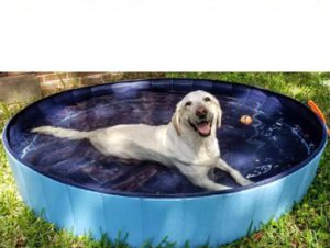 Best Portable Dog Bathtubs