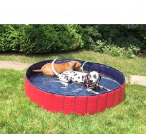 GRULLIN Pet Swimming Pool Portable Foldable Pool