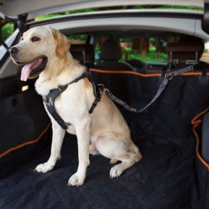 IBuddy Dog Car Seat Covers