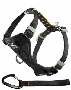 Kurgo Dog Harness