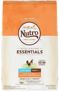 NUTRO Dry Dog Food