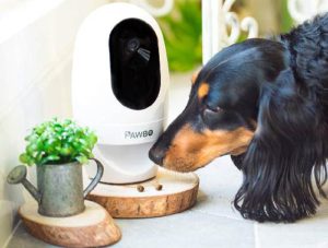 Pawbo Life Dog Treat Dispenser with Camera