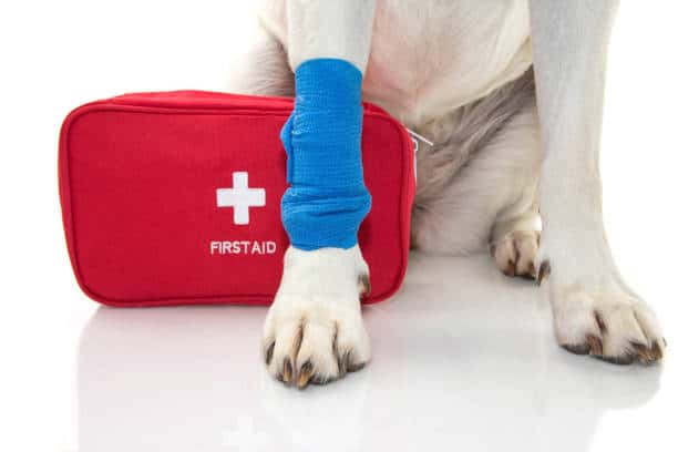 Pet First Aid Kit