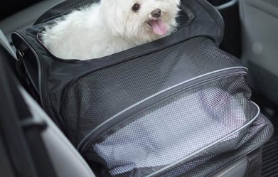 best-expandable-dog-carriers