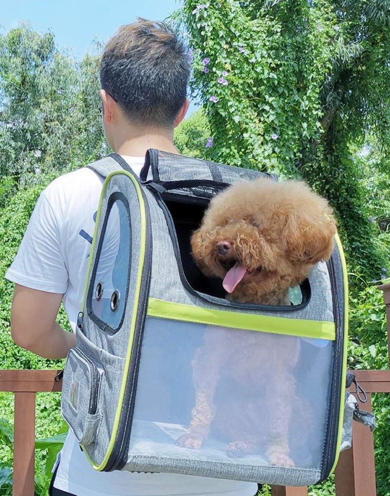 best-dog-carrier-backpacks