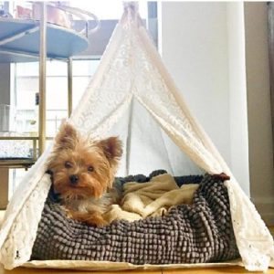 DEWEL Dog Tent with Cushion