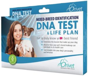 ORIVET Dog Breed Identification DNA Test