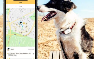 best-dog-gps-trackers