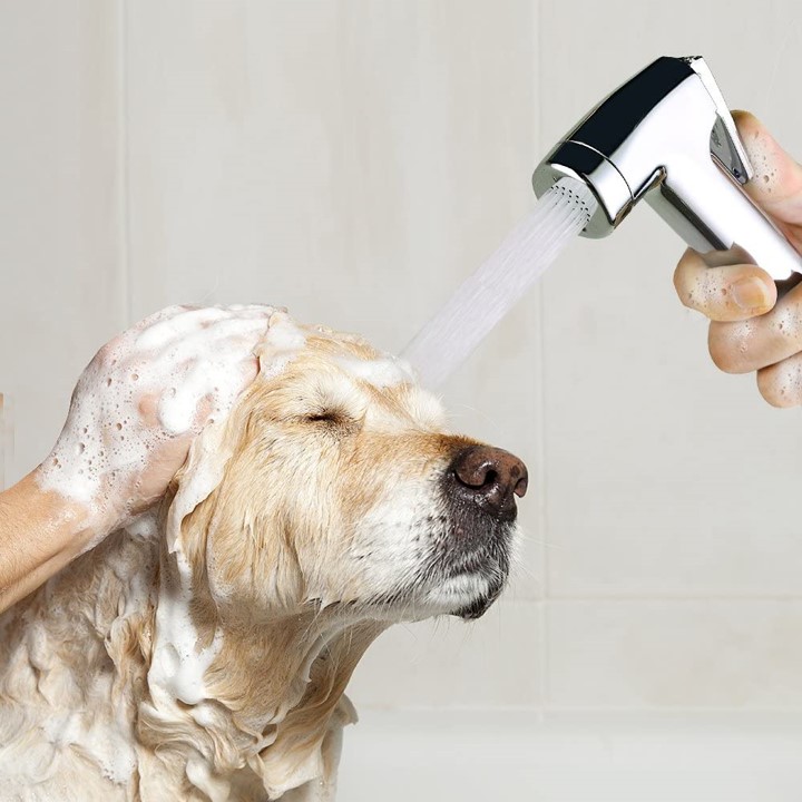 best-dog-shower-heads