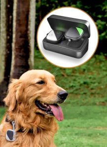 Pet GPS Tracker for Dogs