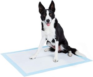 AmazonBasics Dog and Puppy Pee Pads