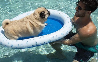 best-dog-floats-for-pool