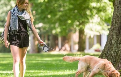 best-dual-retractable-dog-leashes