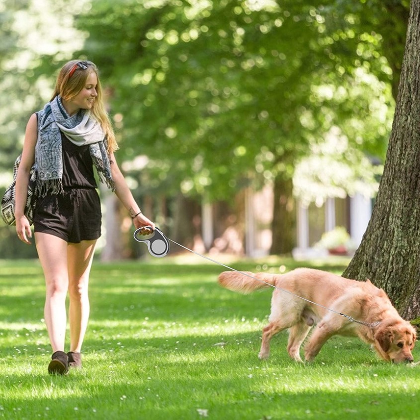 best-dual-retractable-dog-leashes