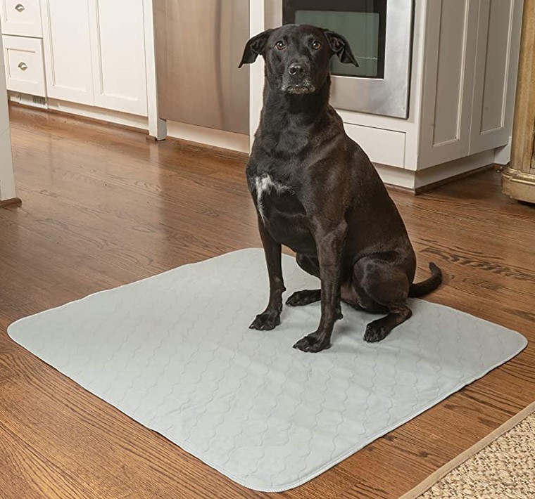 best-reusable-pee-pads-for-dogs