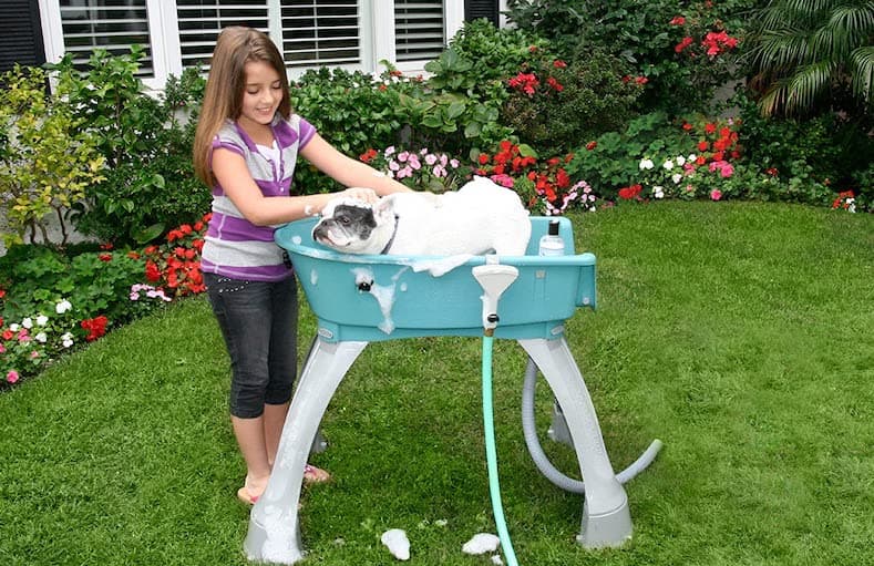 best-elevated-dog-bathtubs