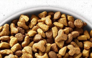 purina-best-dog-food